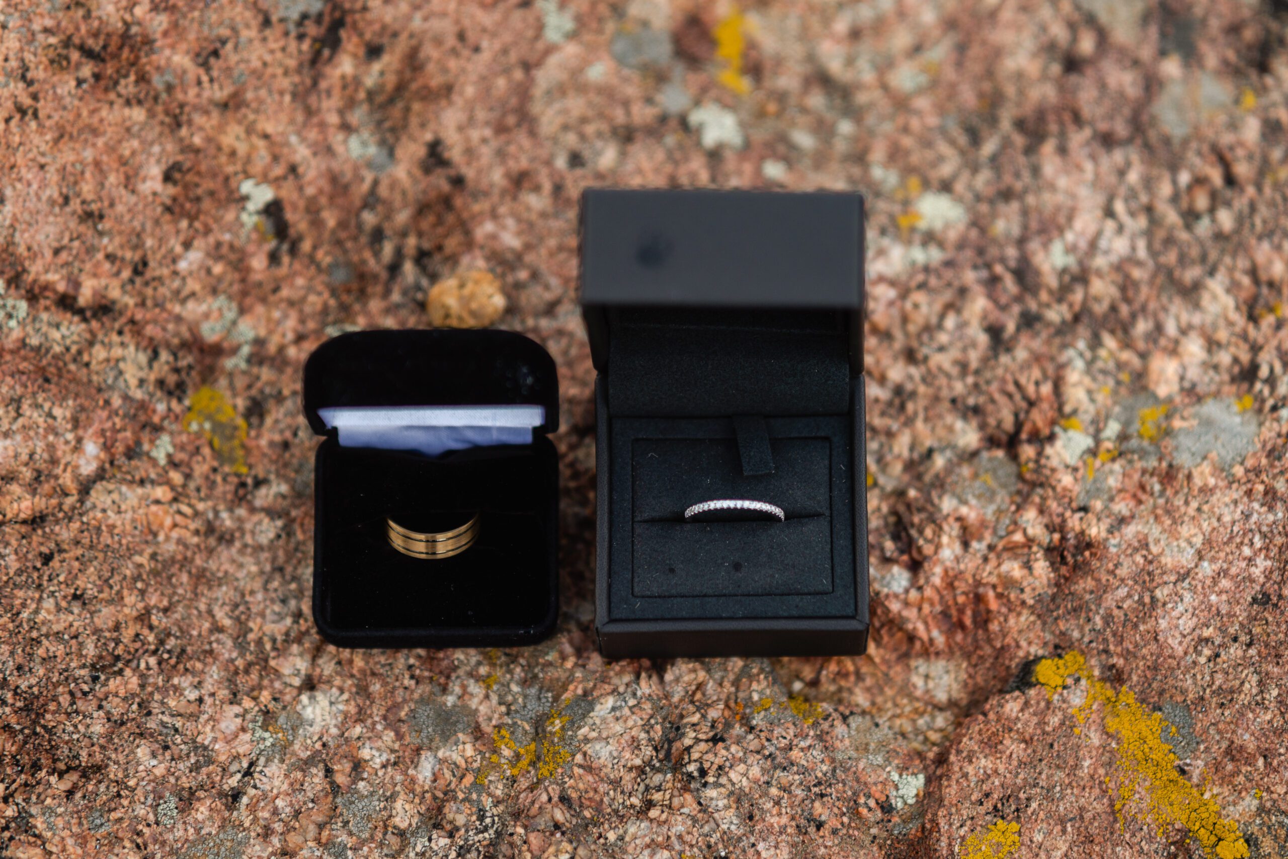 the bride and grooms rings at their  Bear Lake elopement.