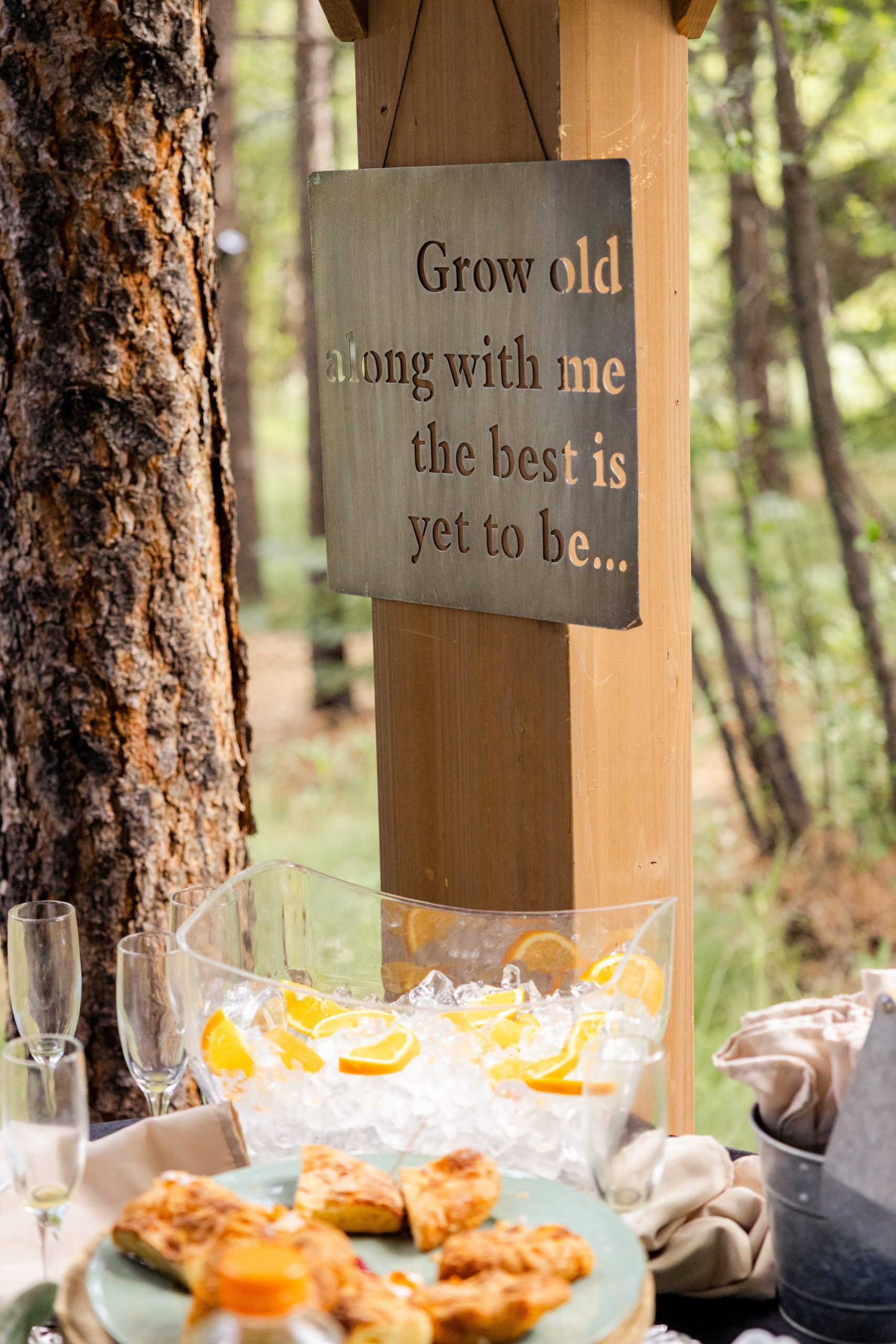 A sign that reads "Grow old with me the best is yet to be.." hung at their reception at Romantic RiverSong Inn in Estes Park. 