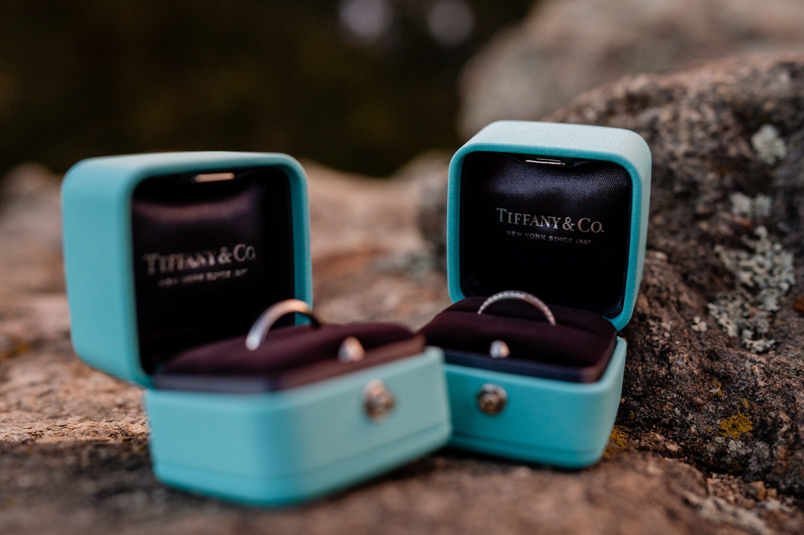The two bride's rings on display in open Tiffany & Co. boxes at their Lost Gulch elopement. 