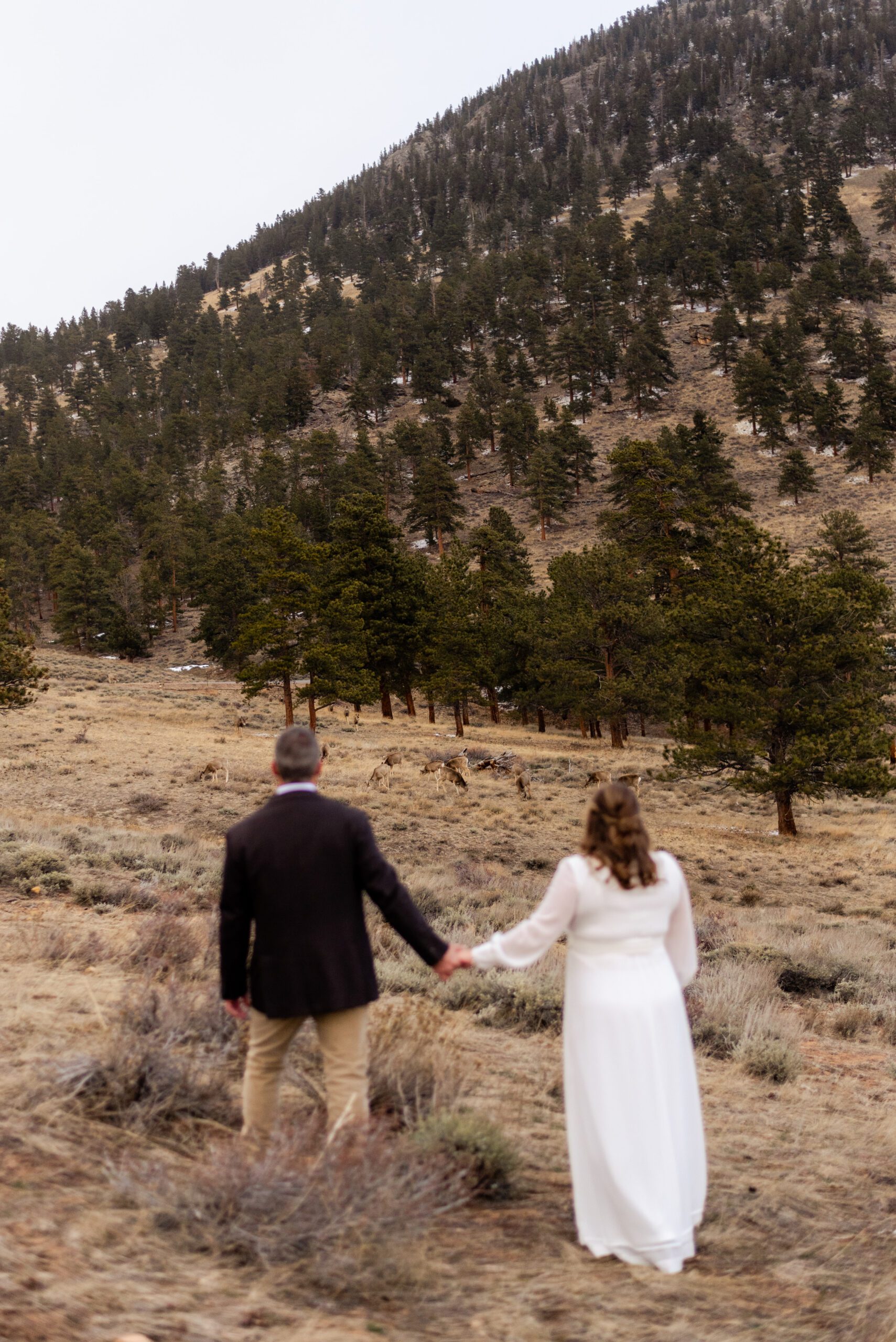 bride and groom look out at the elk during their spring  elopement at 3M Curve.