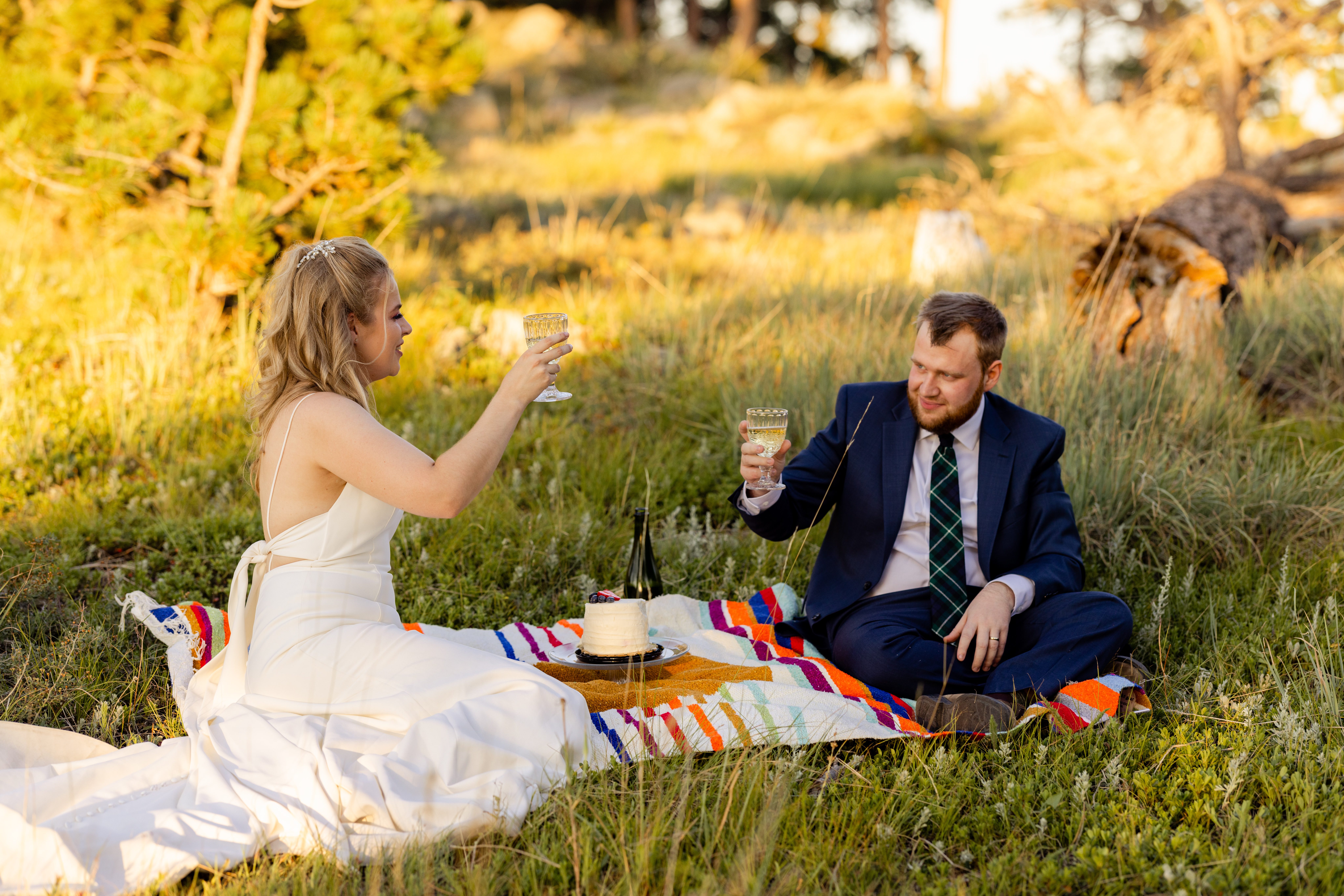 The bride and groom raise their glasses to each other during their picnic after their Sunrise Amphitheater wedding.