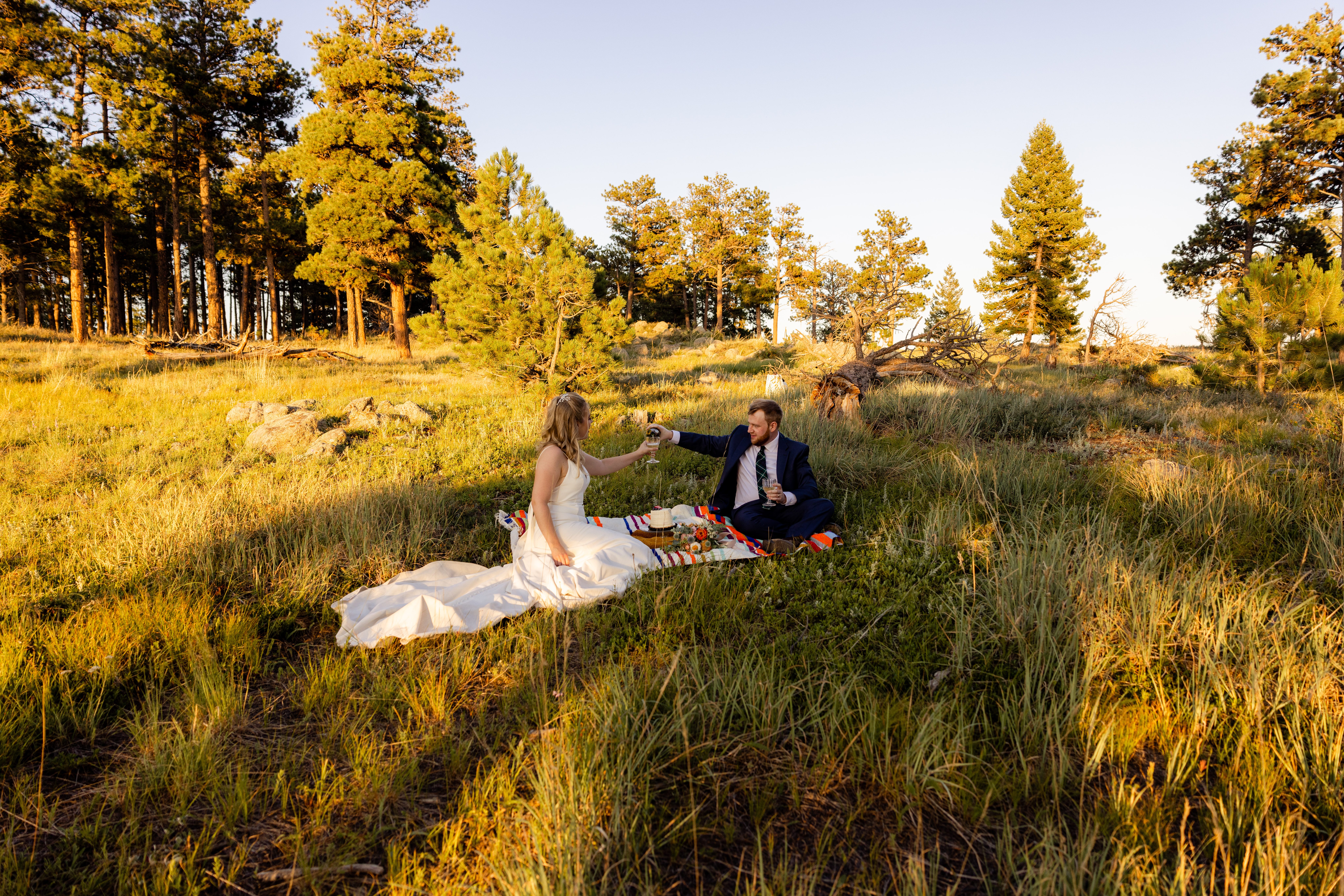 The bride and groom raising their glasses in a meadow after their Sunrise Amphitheater wedding.