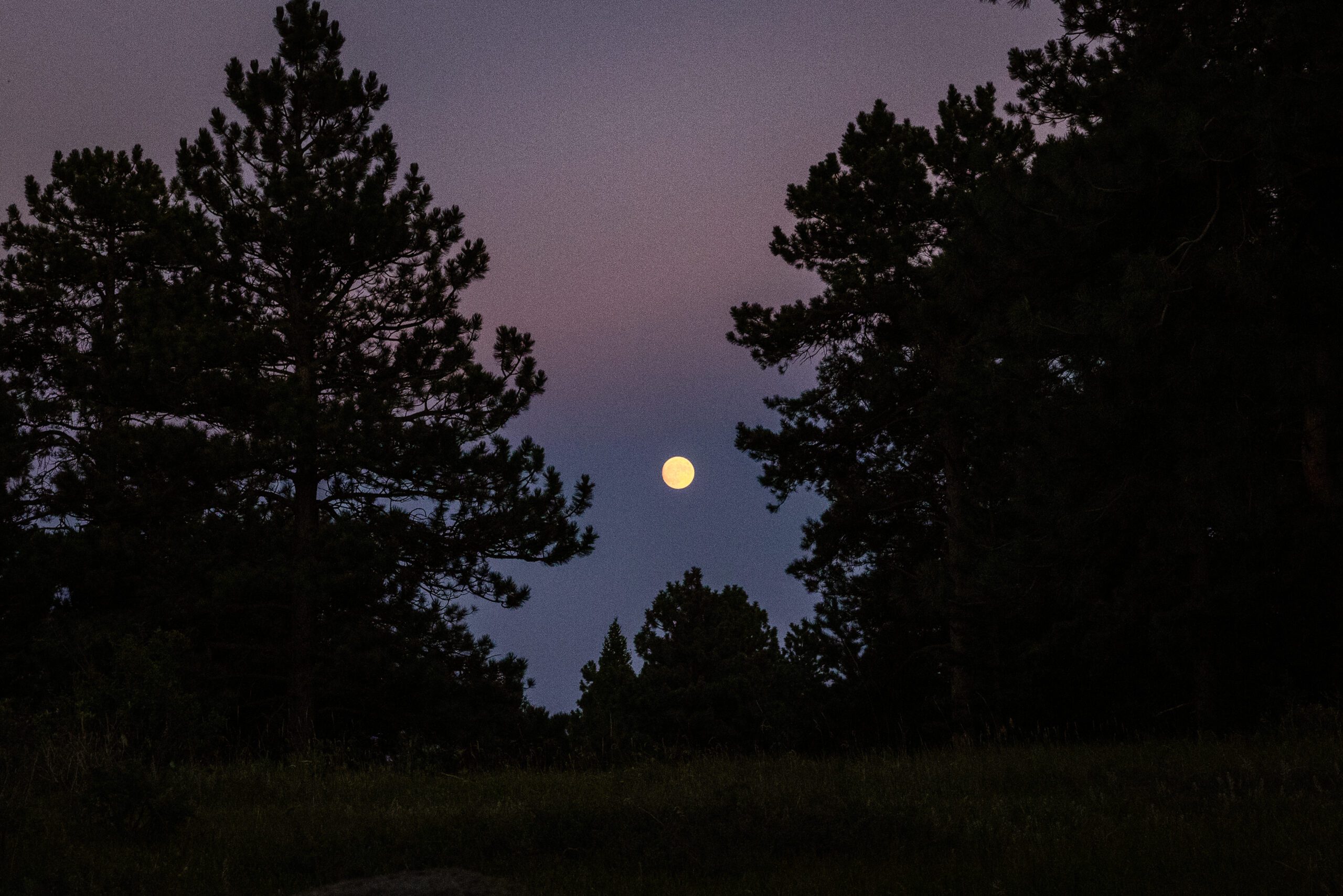 A gorgeous shot of the full moon at sunrise after their Sunrise Amphitheater wedding.