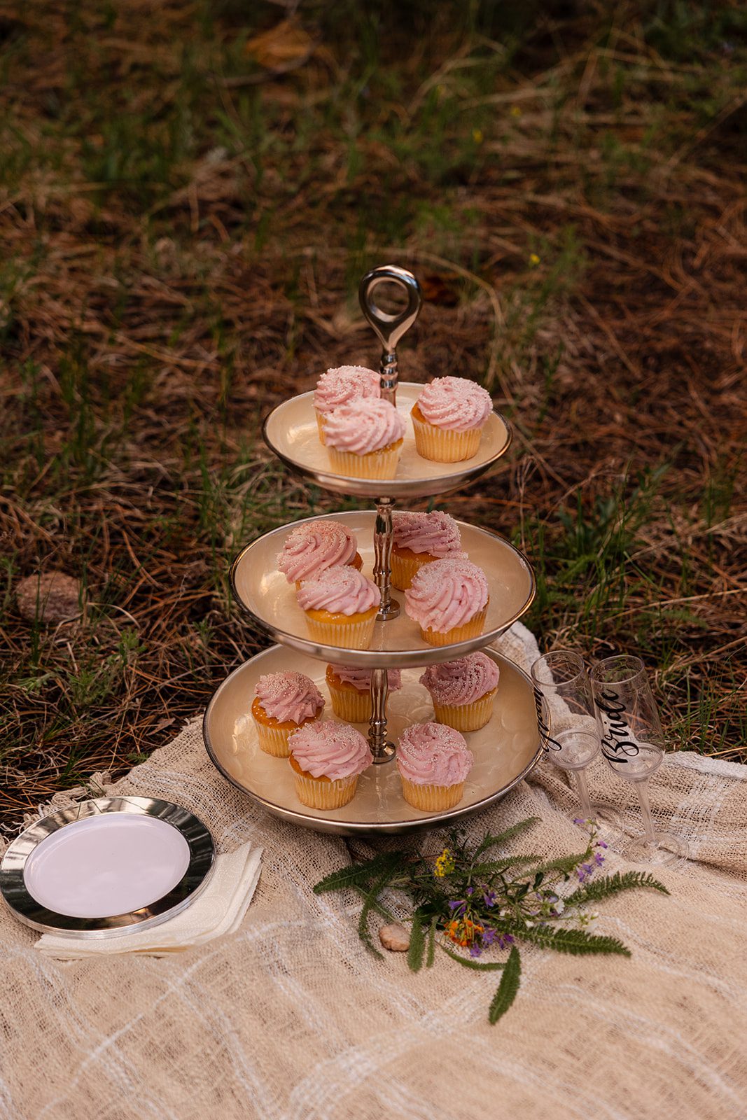 the bride and grooms cupcakes from heir Boulder elopement with videography.