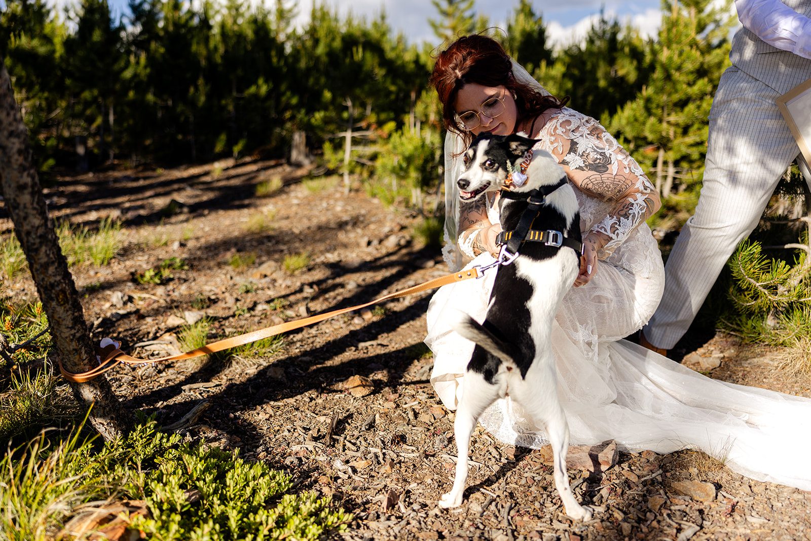 bride and her dog at Summit County Elopement. 