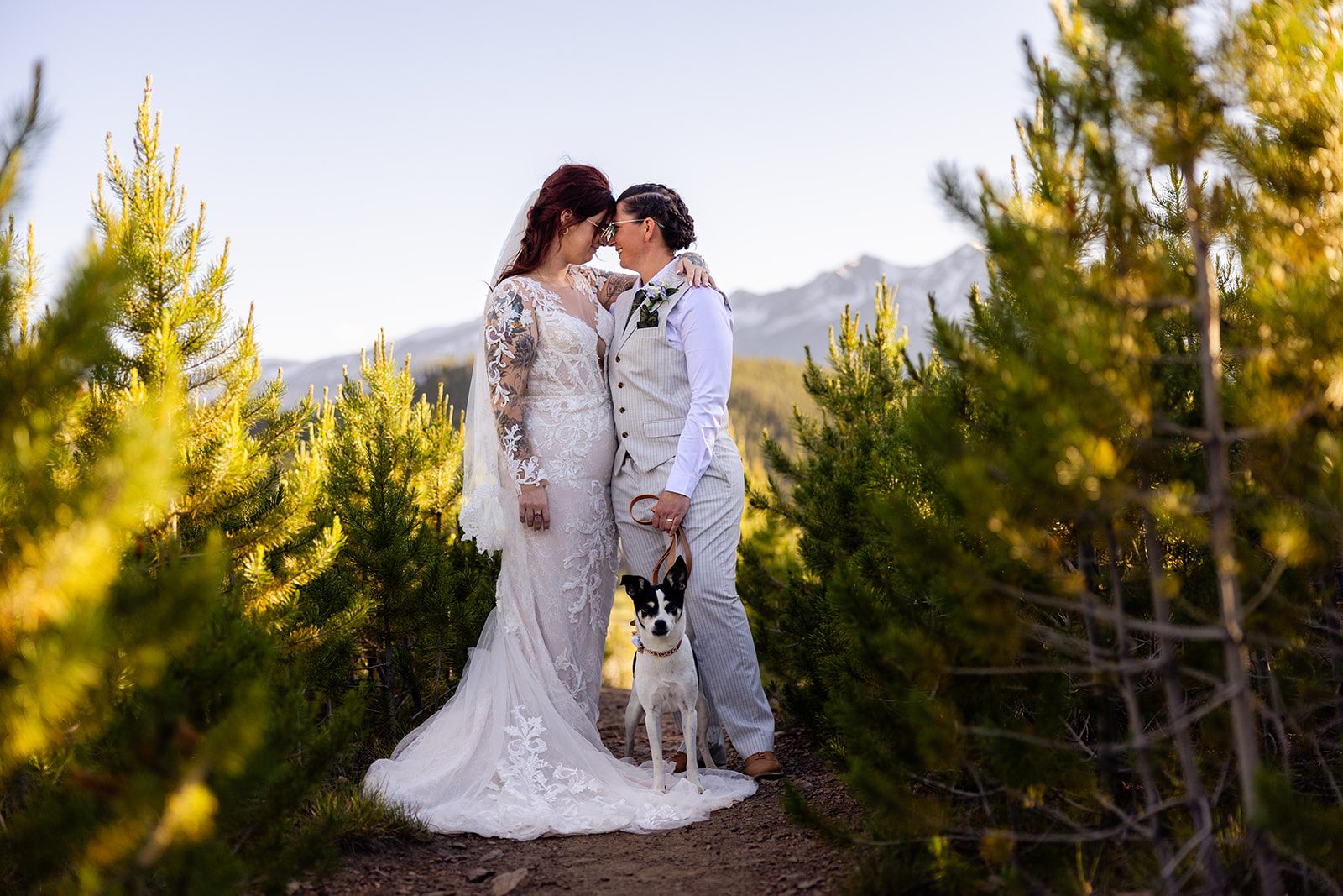 couple and their adorable pup during their intimate Colorado Elopement. 